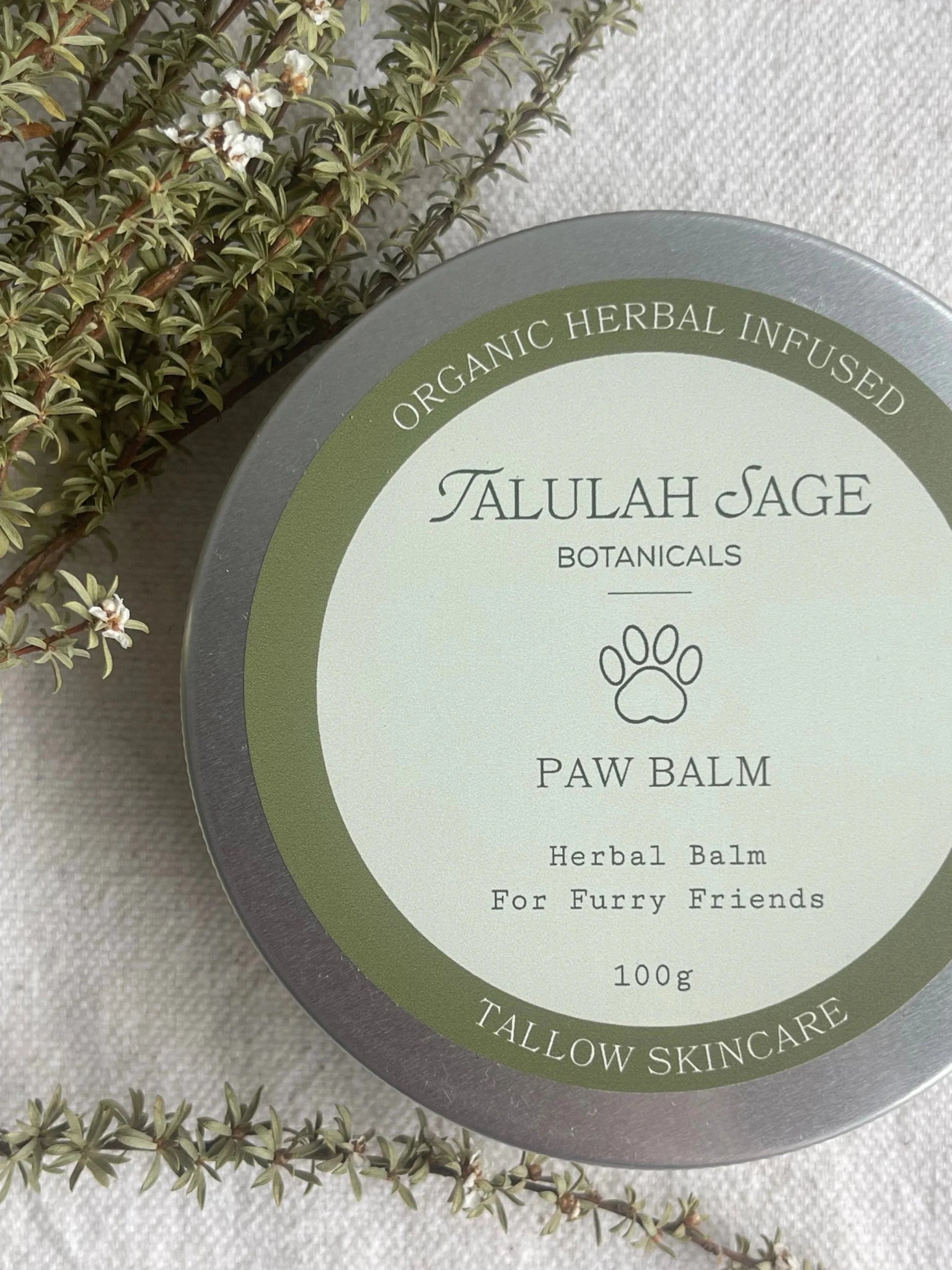 Paw Balm - TALULAH SAGE BOTANICALS